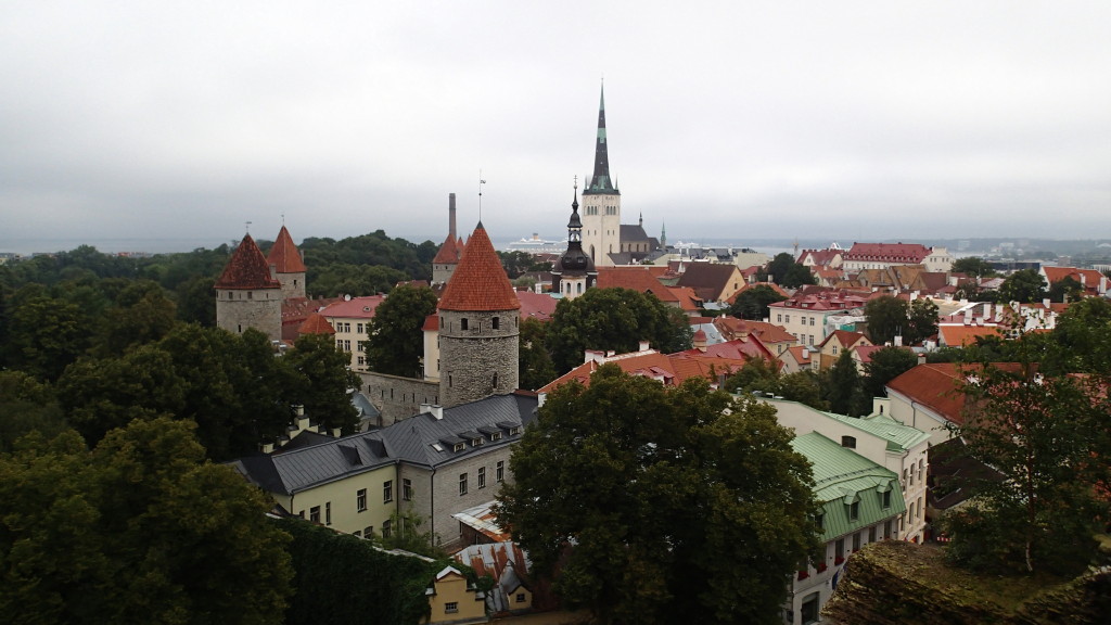 Blick vom Domberg